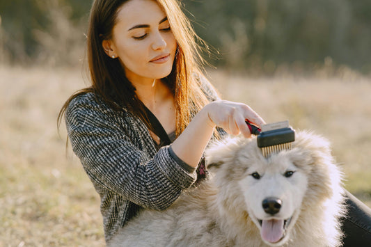 The Importance of Regular Grooming for Your Dog’s Health and Happiness