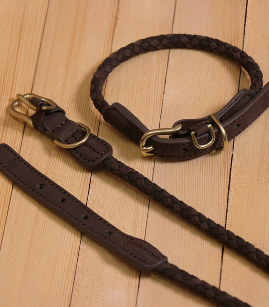 The Furry Collar & Leash