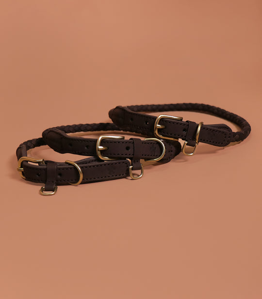 The Furry Collar & Leash