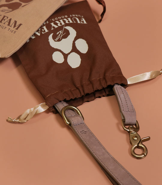 The Furry Collar & Leash