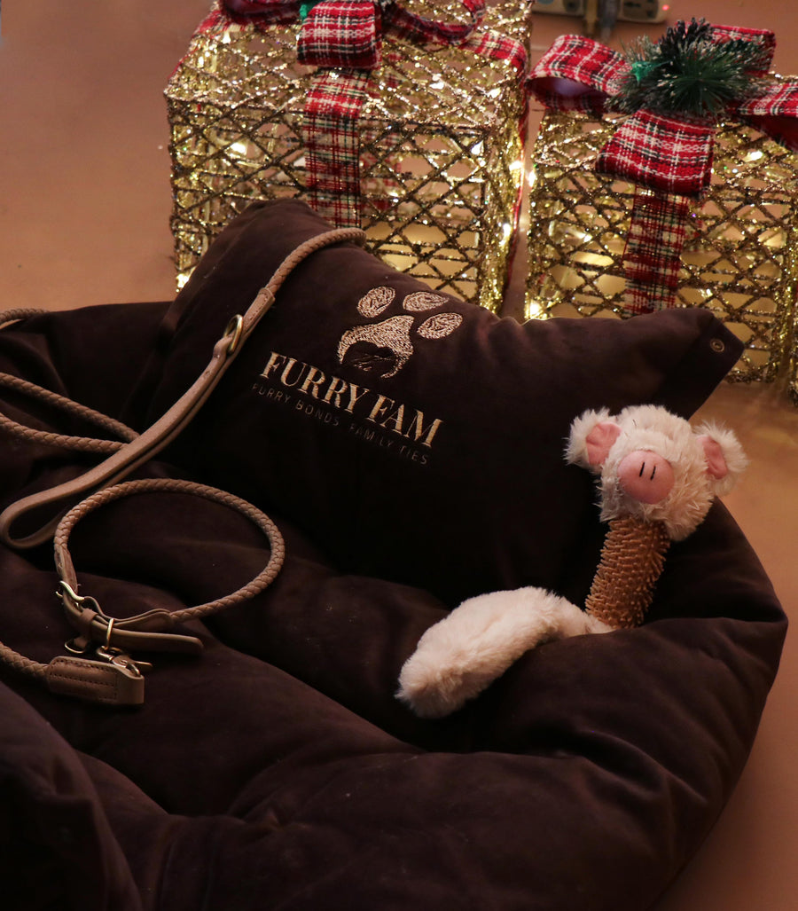 The Cozy Play Affair