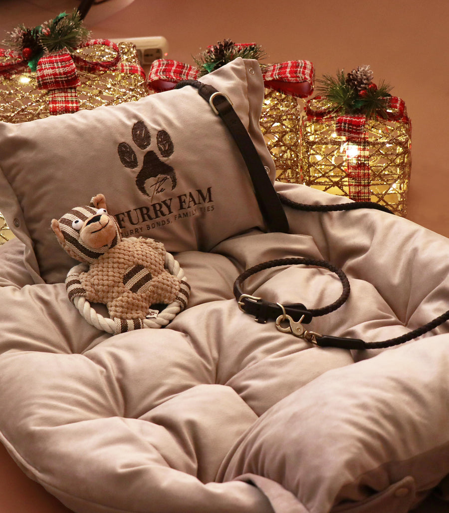 The Cozy Play Affair