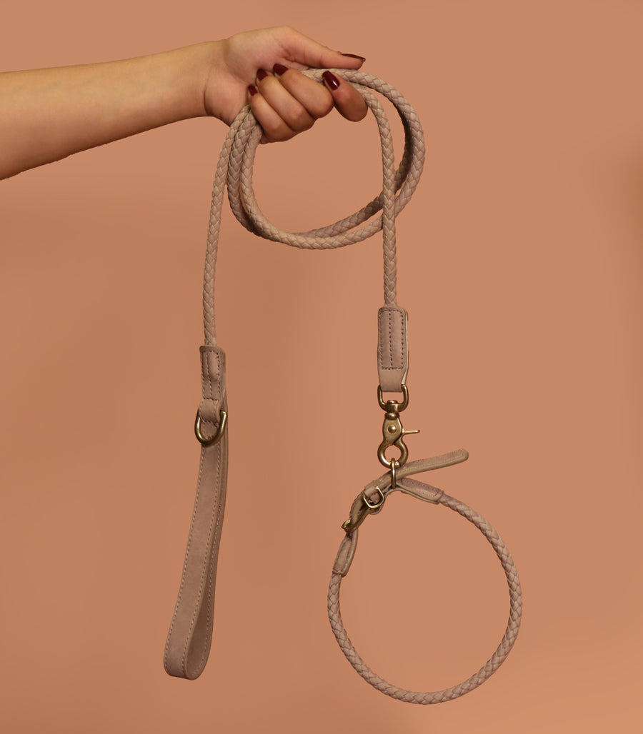 The Furry Collar & Leash